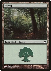 Forest (112/113)